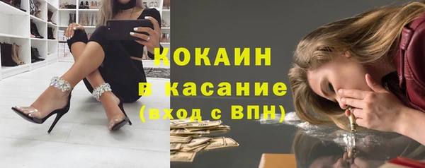 индика Волоколамск
