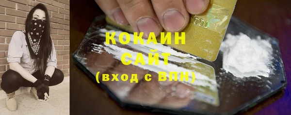 индика Волоколамск