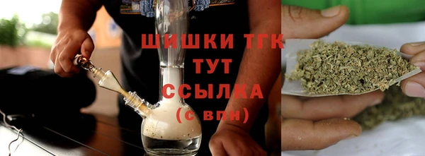 индика Волоколамск