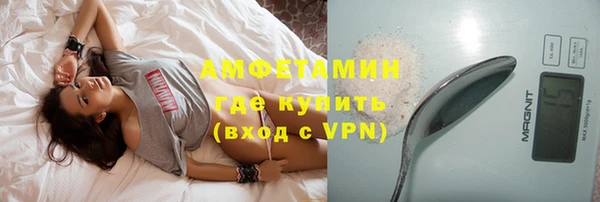 индика Волоколамск