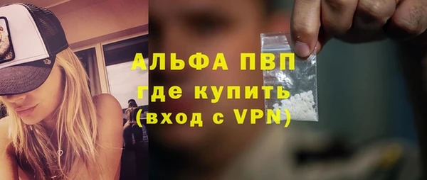 индика Волоколамск
