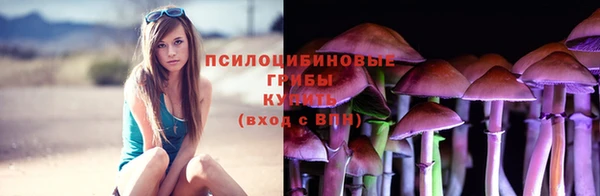 индика Вязьма