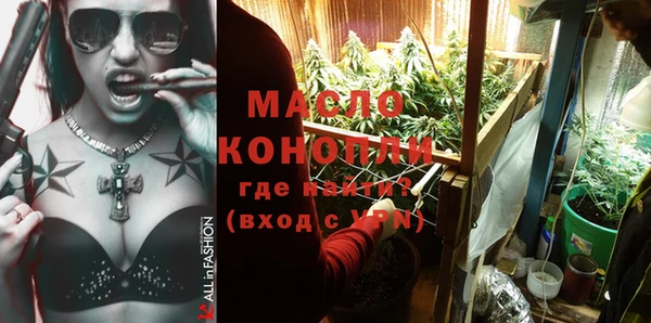 индика Волоколамск
