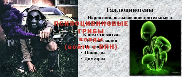 ПСИЛОЦИБИНОВЫЕ ГРИБЫ Володарск