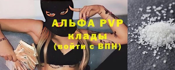 индика Волоколамск