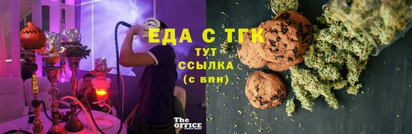 индика Вязьма