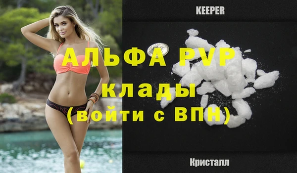 индика Волоколамск