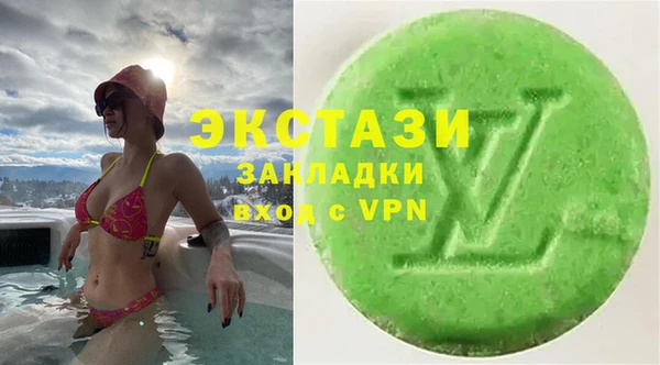 индика Волоколамск
