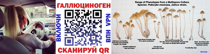 Купить закладки  Серов  Псилоцибиновые грибы Magic Shrooms 